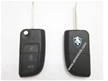 Cheung Yuet Changan 3-button flip rem...